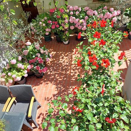 Apartment Eli พาก ภายนอก รูปภาพ
