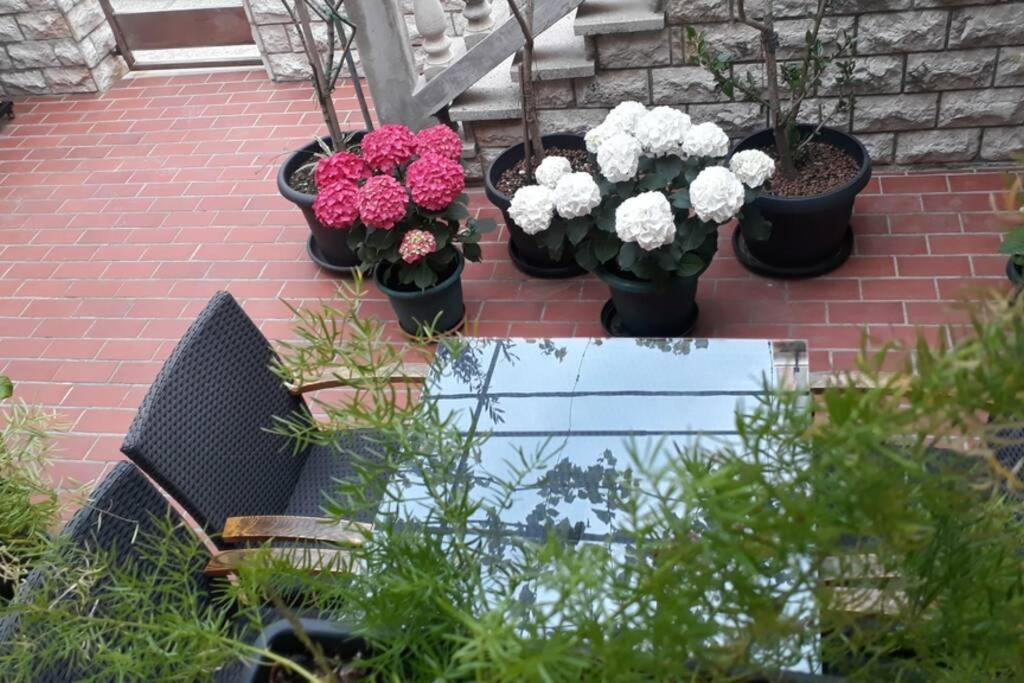Apartment Eli พาก ภายนอก รูปภาพ