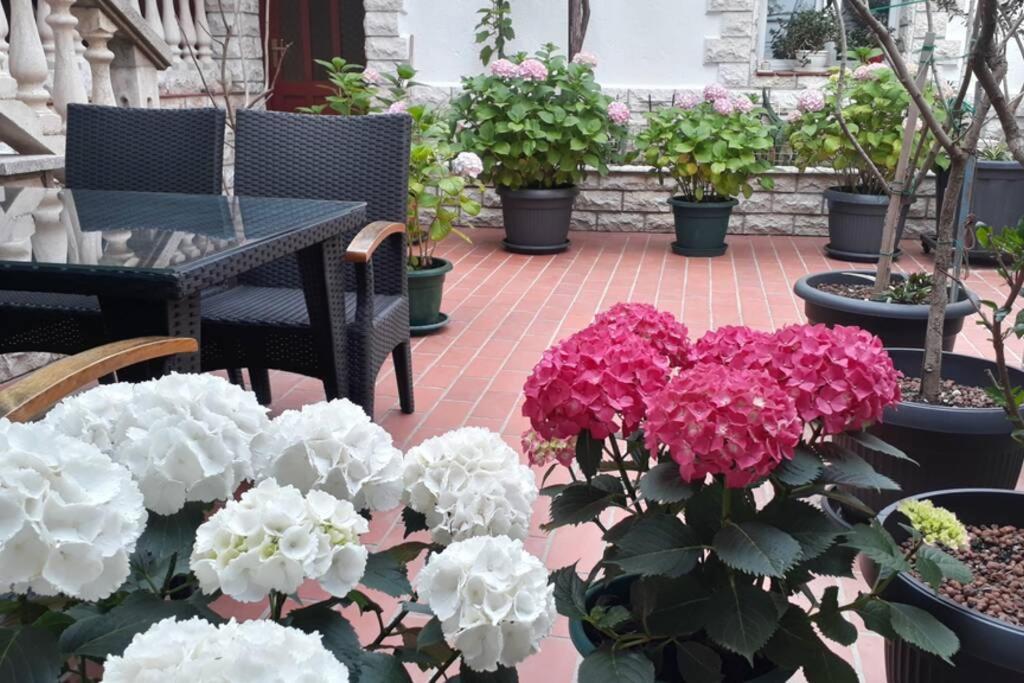Apartment Eli พาก ภายนอก รูปภาพ
