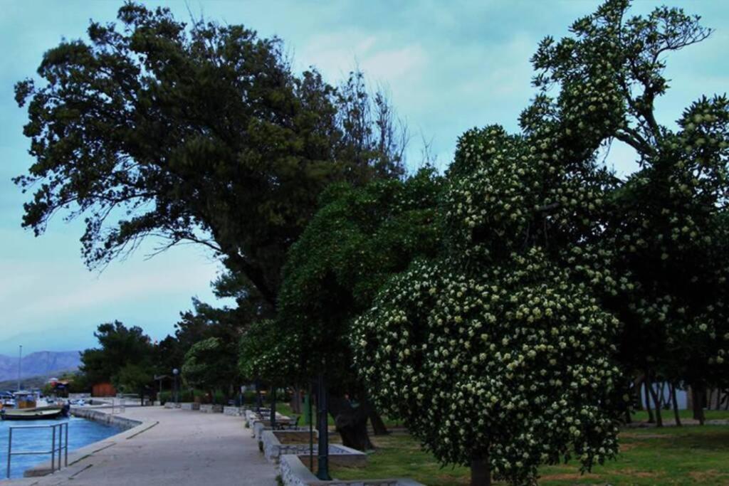 Apartment Eli พาก ภายนอก รูปภาพ